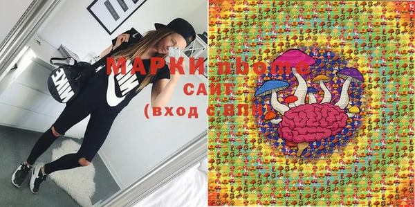ПСИЛОЦИБИНОВЫЕ ГРИБЫ Гусиноозёрск