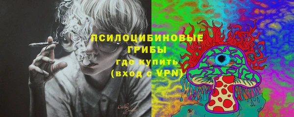 2c-b Гусев