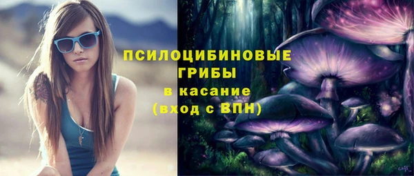 ПСИЛОЦИБИНОВЫЕ ГРИБЫ Гусиноозёрск