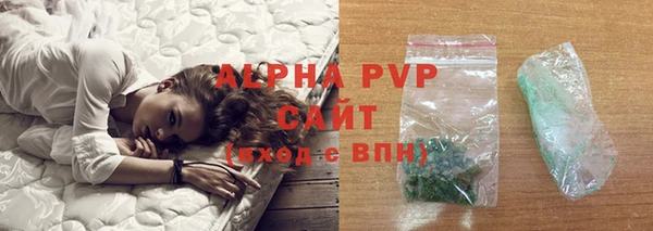 ПСИЛОЦИБИНОВЫЕ ГРИБЫ Гусиноозёрск